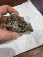 IMG_2976-compressed.jpeg