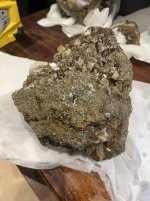 IMG_2986-compressed.jpeg