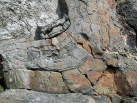 Folding in rocks at Porthtowan (1).jpg