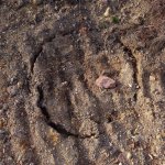 picturecache_3.jpg