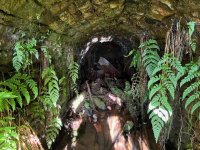 IMG_1146.jpeg