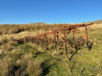IMG_1185.jpeg