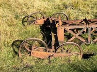 IMG_1187.jpeg