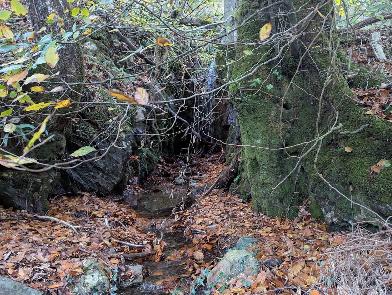 Trial adit at Aberglaslyn, submitted by BertyBasset on 16-11-2025.
© Robin Griffiths Trial adit at Aberglaslyn