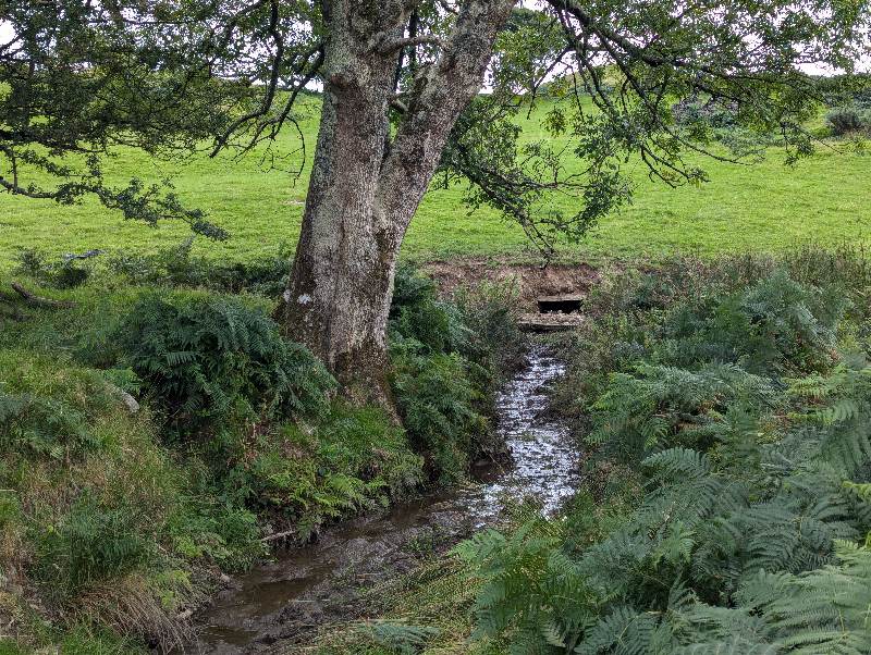 Moel y Gadair - remains of adit
