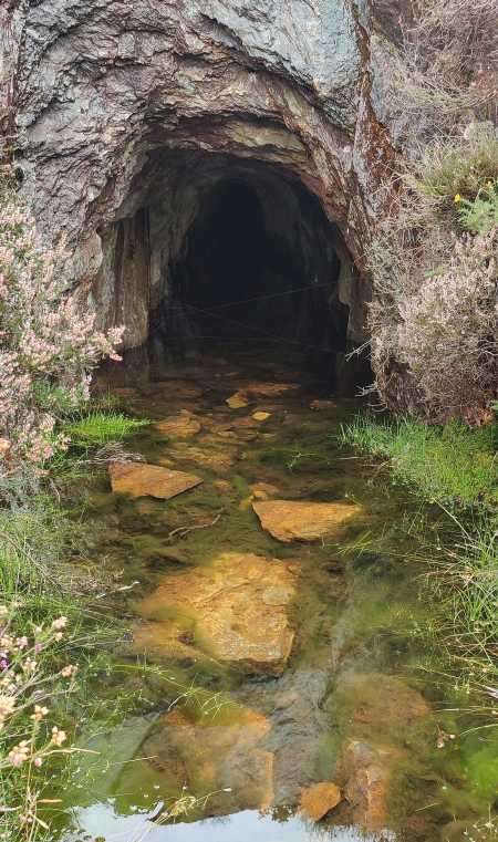 Adit, submitted by ilt on 10-12-2025.
© Iain Taylor Adit