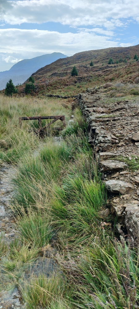 Intermediate station, submitted by ilt on 10-12-2025.
© Iain Taylor Intermediate station