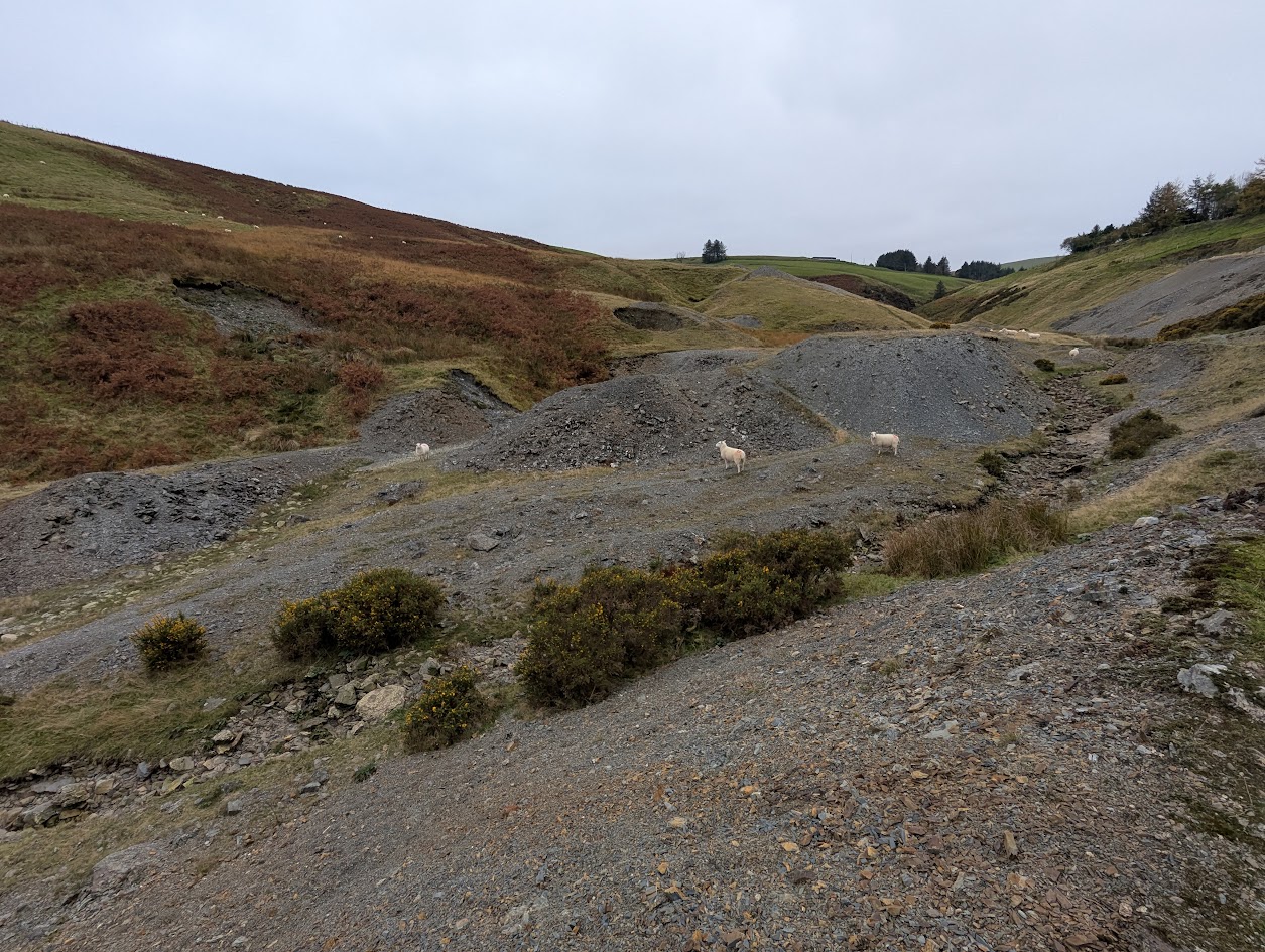 Dylife tips above main road, submitted by BertyBasset on 16-11-2025.
© Robin Griffiths Dylife tips above main road