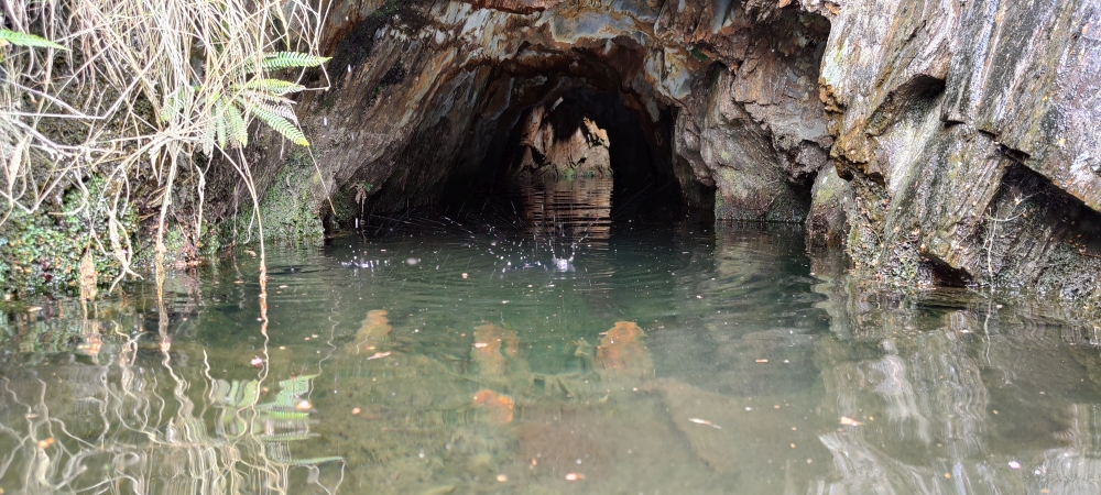 Adit, submitted by ilt on 11-12-2025.
© Iain Taylor Adit