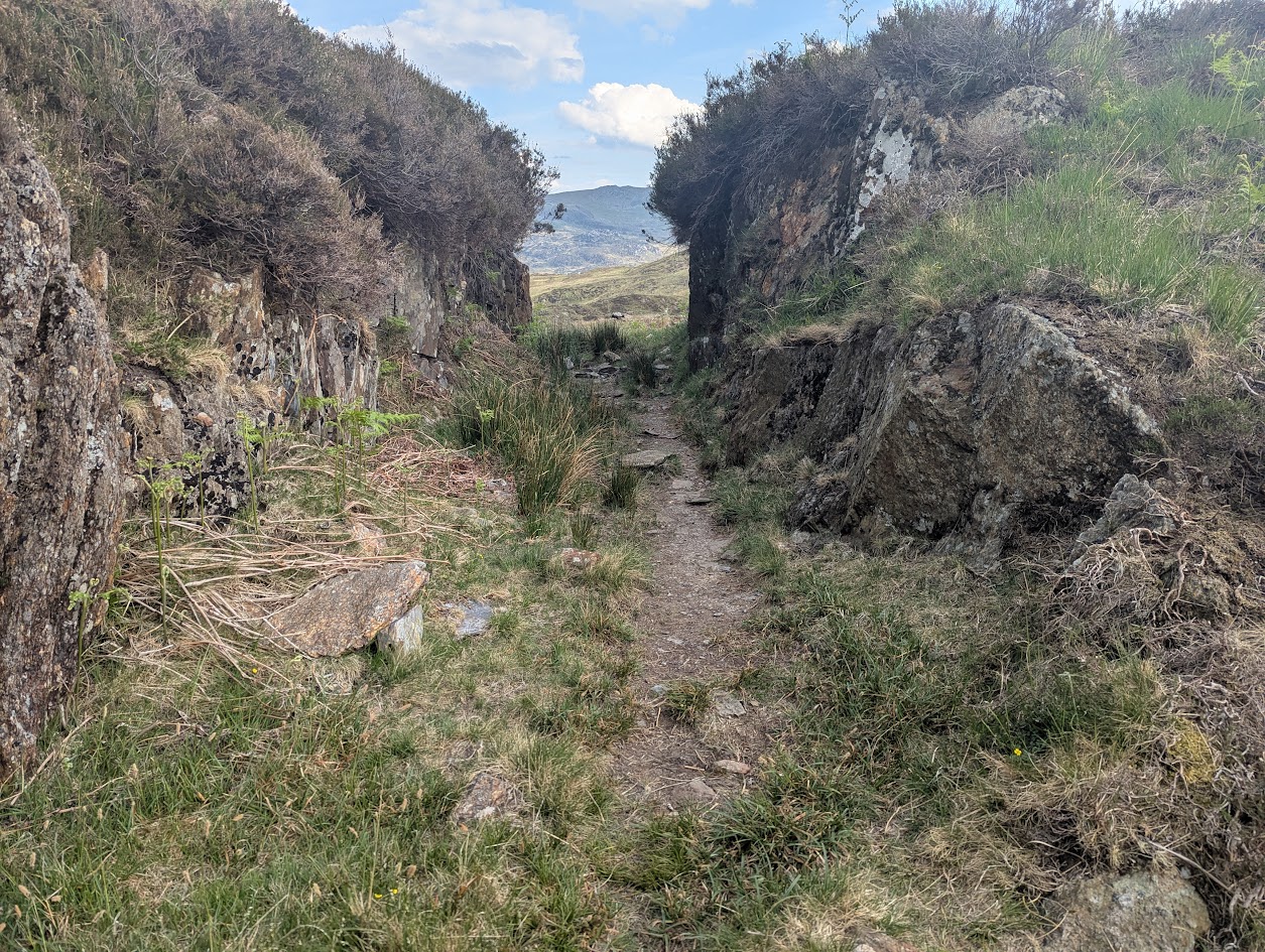 Hafod y Porth cutting, submitted by BertyBasset on 16-11-2025.
© Robin Griffiths Hafod y Porth cutting