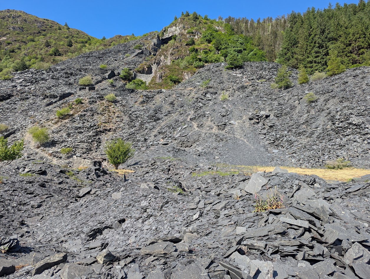 Aberllefenni - Foel Grochan, submitted by BertyBasset on 16-11-2025.
© Robin Griffiths Aberllefenni - Foel Grochan