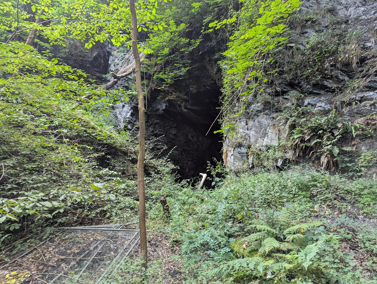 Wynne Mine, submitted by BertyBasset on 16-11-2025.
© Robin Griffiths Wynne Mine