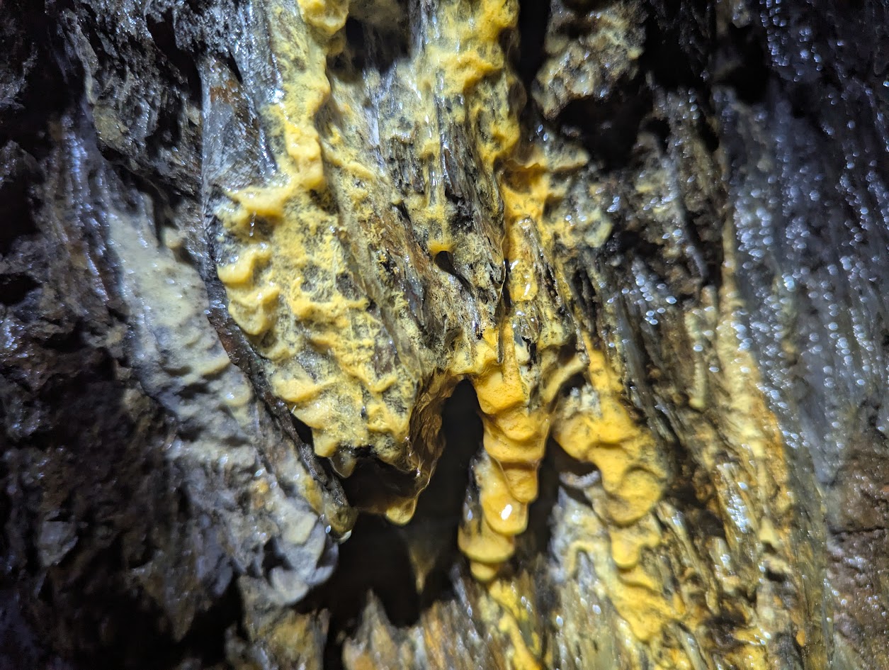 Benallt encrustations