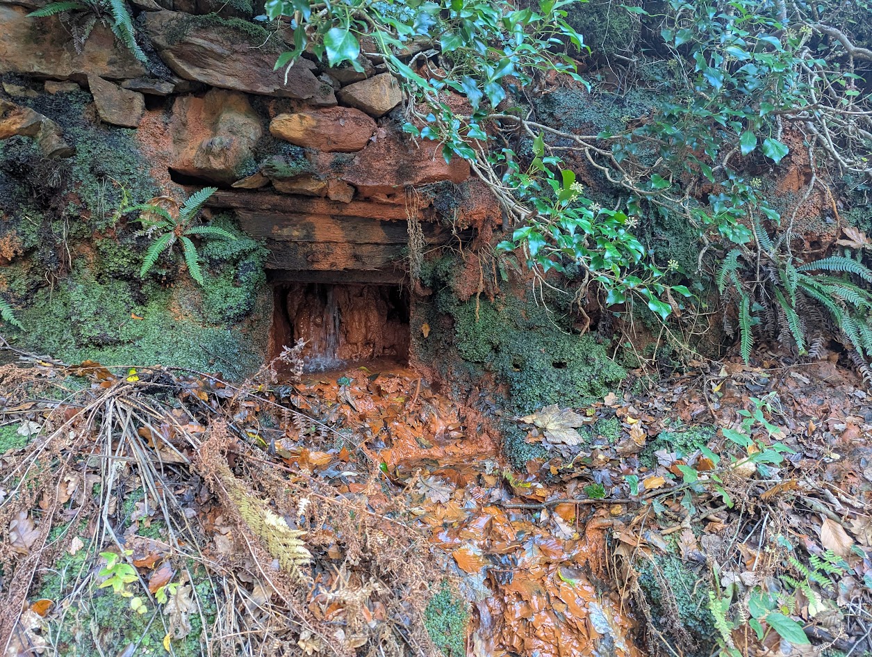 Lefel Goch, submitted by BertyBasset on 16-11-2025.
© Robin Griffiths Lefel Goch