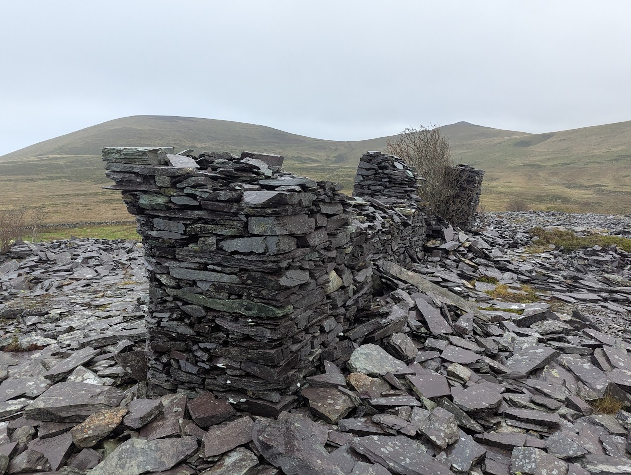 Bryn Hafod y Wern, submitted by BertyBasset on 16-11-2025.
© Robin Griffiths Bryn Hafod y Wern