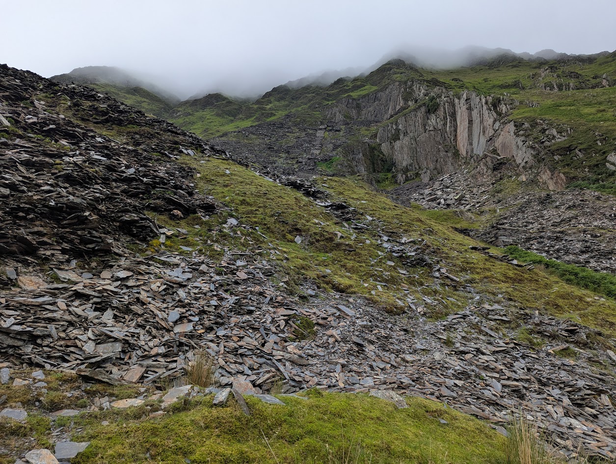 Gallt y Llan, submitted by BertyBasset on 16-11-2025.
© Robin Griffiths Gallt y Llan