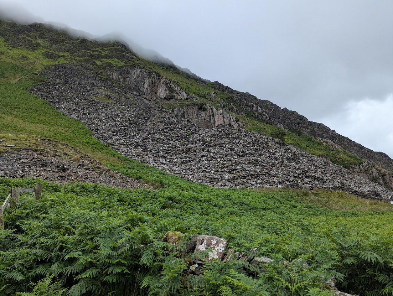 Gallt y Llan, submitted by BertyBasset on 16-11-2025.
© Robin Griffiths Gallt y Llan