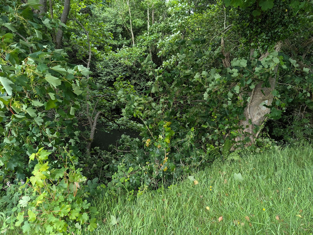 Ty'n Llwyn Quarry, submitted by BertyBasset on 16-11-2025.
© Robin Griffiths Ty'n Llwyn Quarry