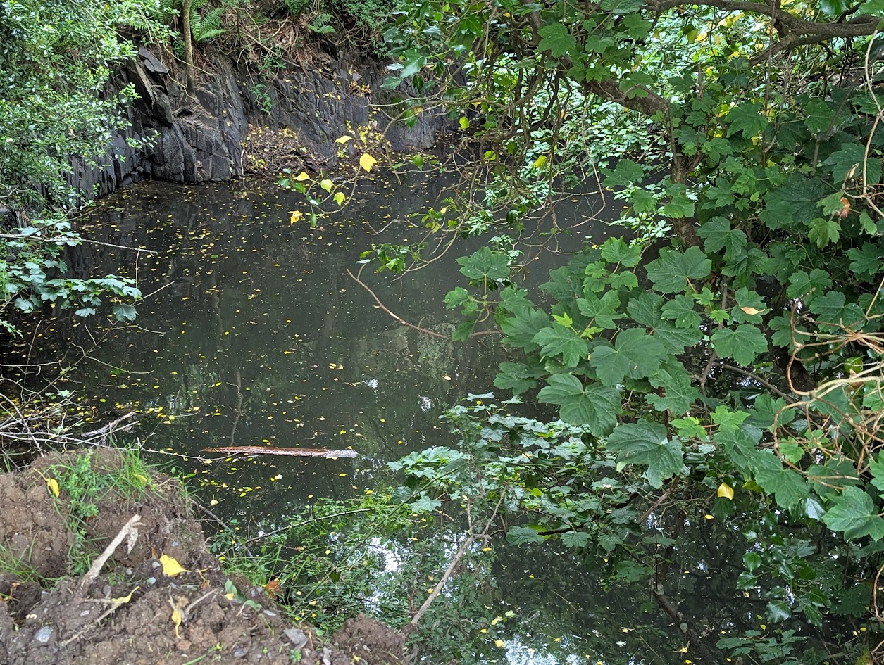 Ty'n Llwyn Quarry, submitted by BertyBasset on 16-11-2025.
© Robin Griffiths Ty'n Llwyn Quarry