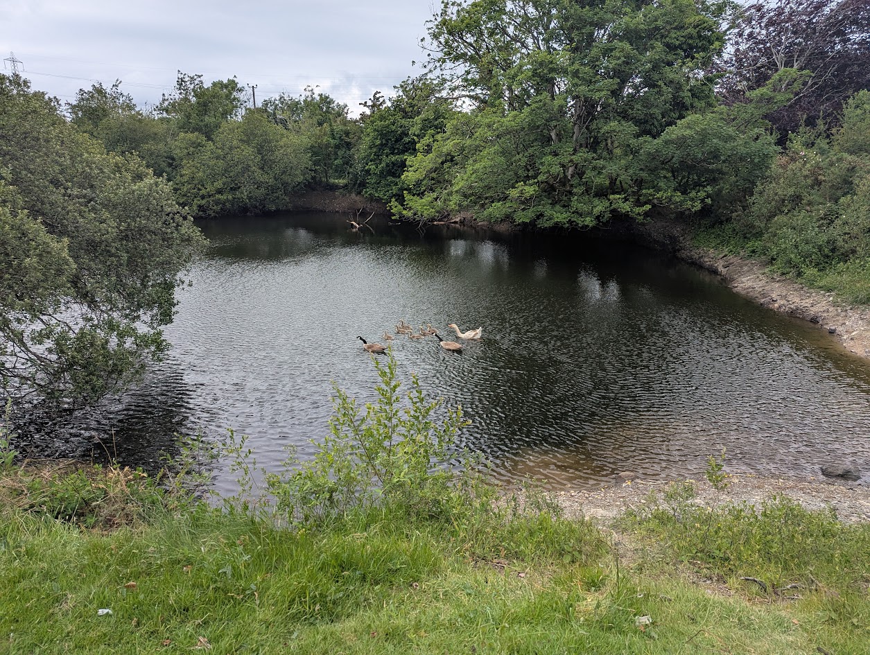 Ty'n Llwyn - second pit?, submitted by BertyBasset on 16-11-2025.
© Robin Griffiths Ty'n Llwyn - second pit?