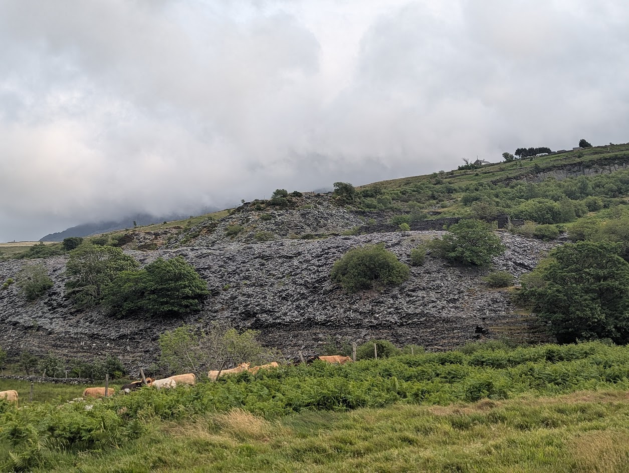 Fronlog tip from Nant y Fron