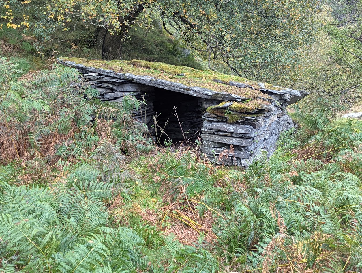 Tyny Bryn shelter, submitted by BertyBasset on 16-11-2025.
© Robin Griffiths Tyny Bryn shelter
