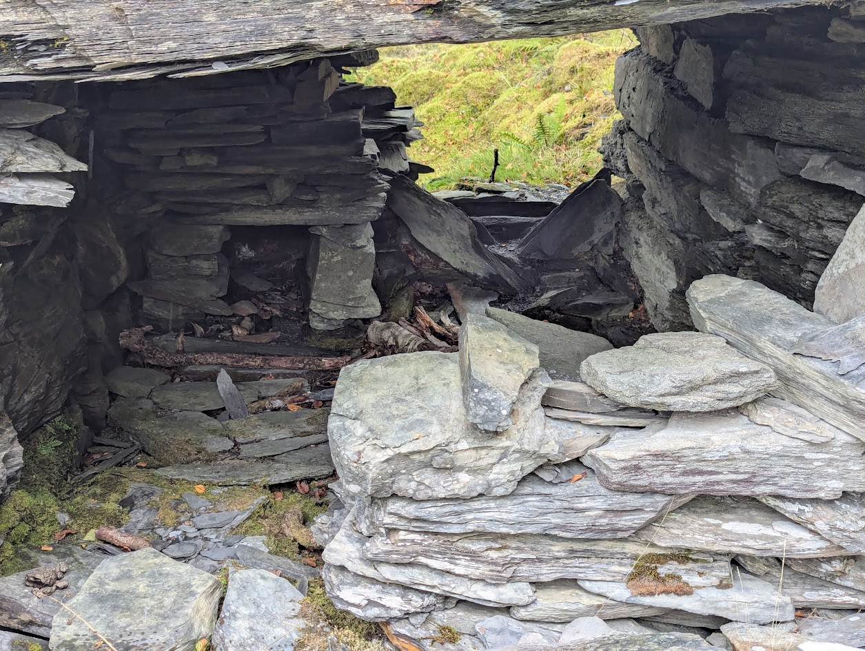 Tyny Bryn - under incline, submitted by BertyBasset on 16-11-2025.
© Robin Griffiths Tyny Bryn - under incline