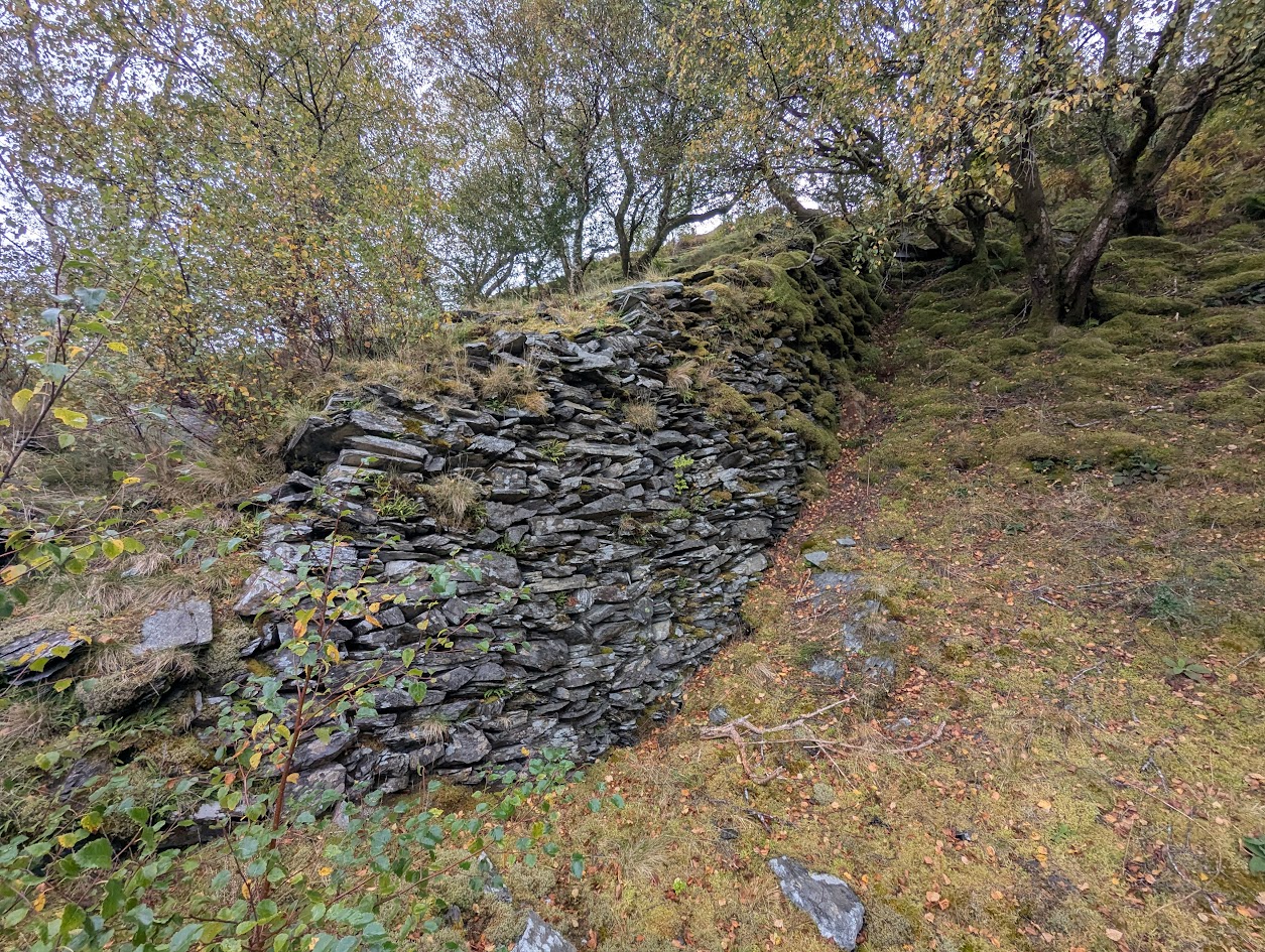 Tyny Bryn - top of incline, submitted by BertyBasset on 16-11-2025.
© Robin Griffiths Tyny Bryn - top of incline