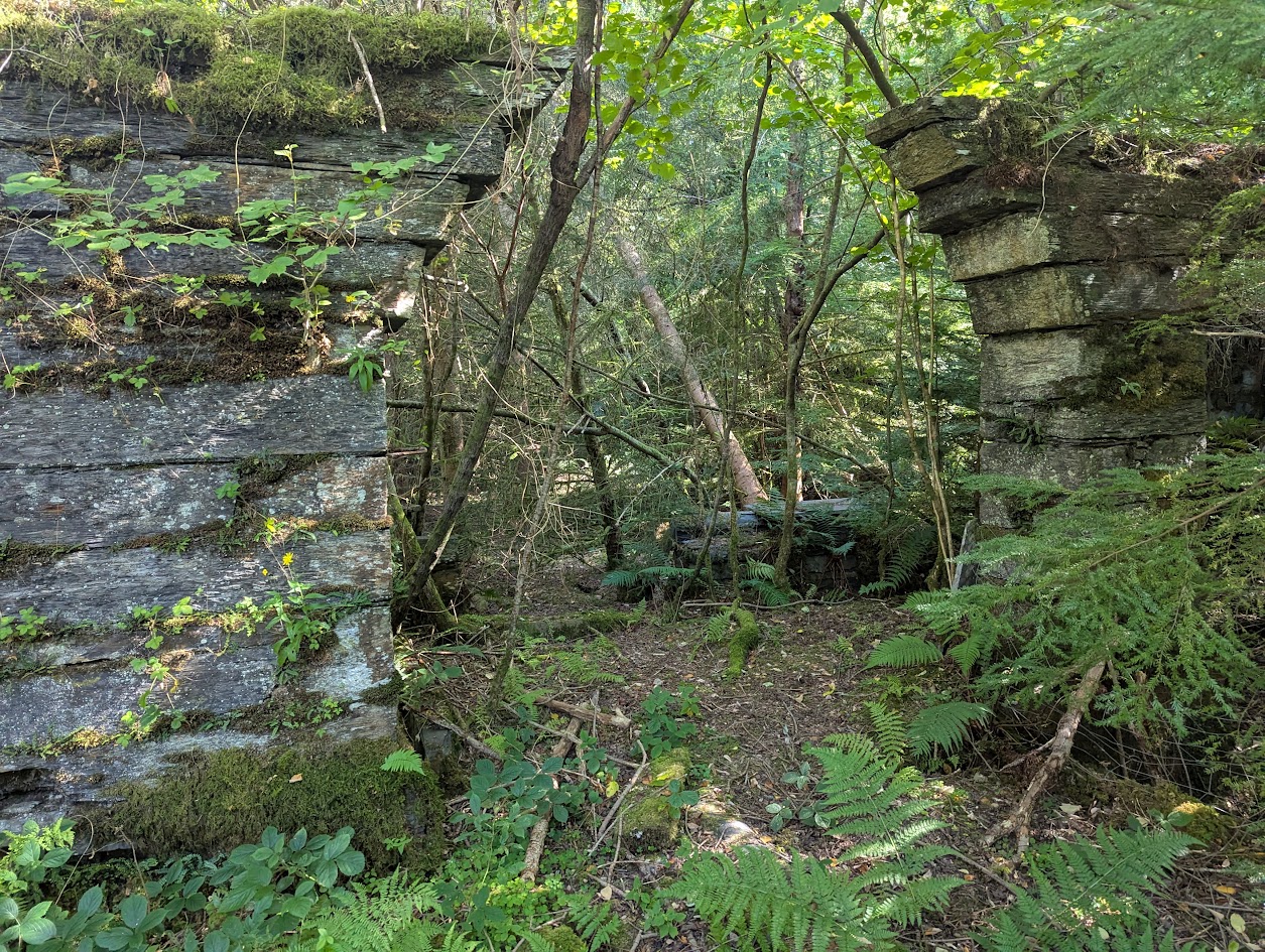 Hafodlas - cantilivered doorway, submitted by BertyBasset on 16-11-2025.
© Robin Griffiths Hafodlas - cantilivered doorway