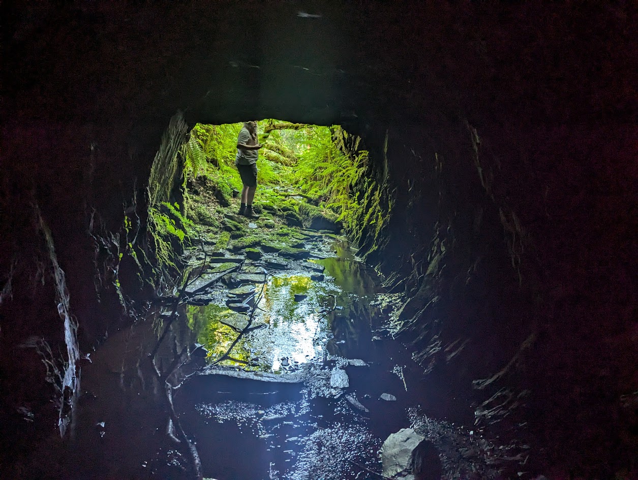 Hafodlas adit, submitted by BertyBasset on 16-11-2025.
© Robin Griffiths Hafodlas adit