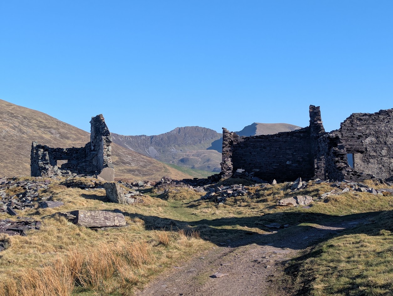 Alexandra, submitted by BertyBasset on 17-11-2025.
© Robin Griffiths Alexandra