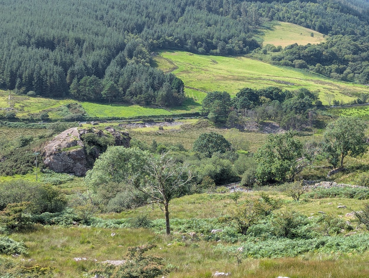 Tipping area in front of road. Pit is in forestry.