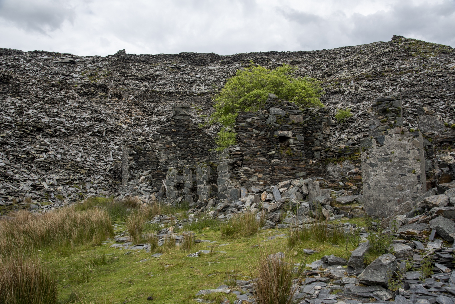 Barracks, submitted by ilt on 12-12-2025.
© Iain Taylor Barracks