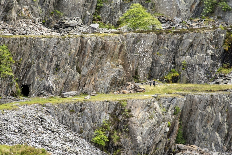 Gallerys, submitted by ilt on 12-12-2025.
© Iain Taylor Gallerys