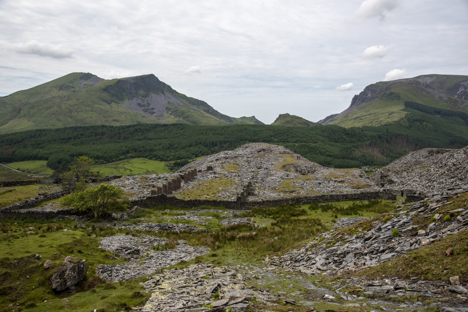 Mills area, submitted by ilt on 12-12-2025.
© Iain Taylor Mills area