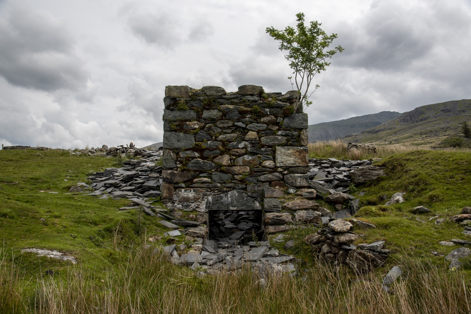 Pumping engine wheelpit tailrace, submitted by ilt on 12-12-2025.
© Iain Taylor Pumping engine wheelpit tailrace