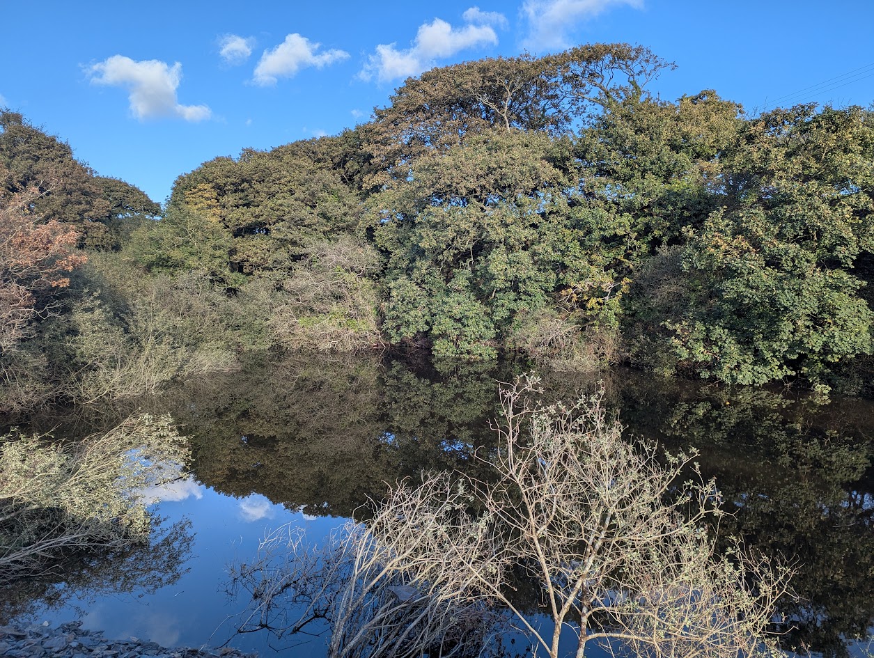 Mynydd Ednyfed Pit, submitted by BertyBasset on 16-11-2025.
© Robin Griffiths Mynydd Ednyfed Pit