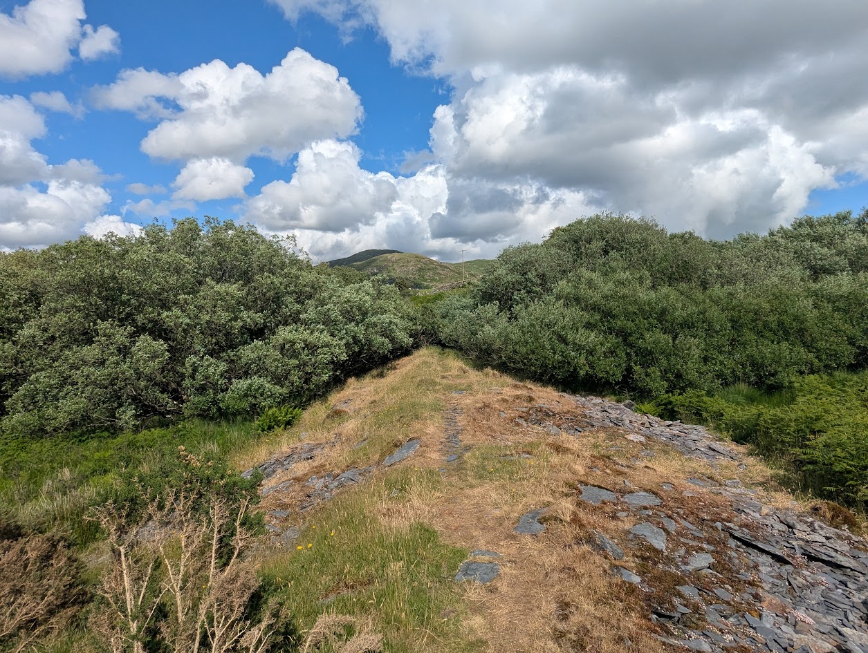 Ynys y Pandy - possible tramway (alt route), submitted by BertyBasset on 16-11-2025.
© Robin Griffiths Ynys y Pandy - possible tramway (alt route)