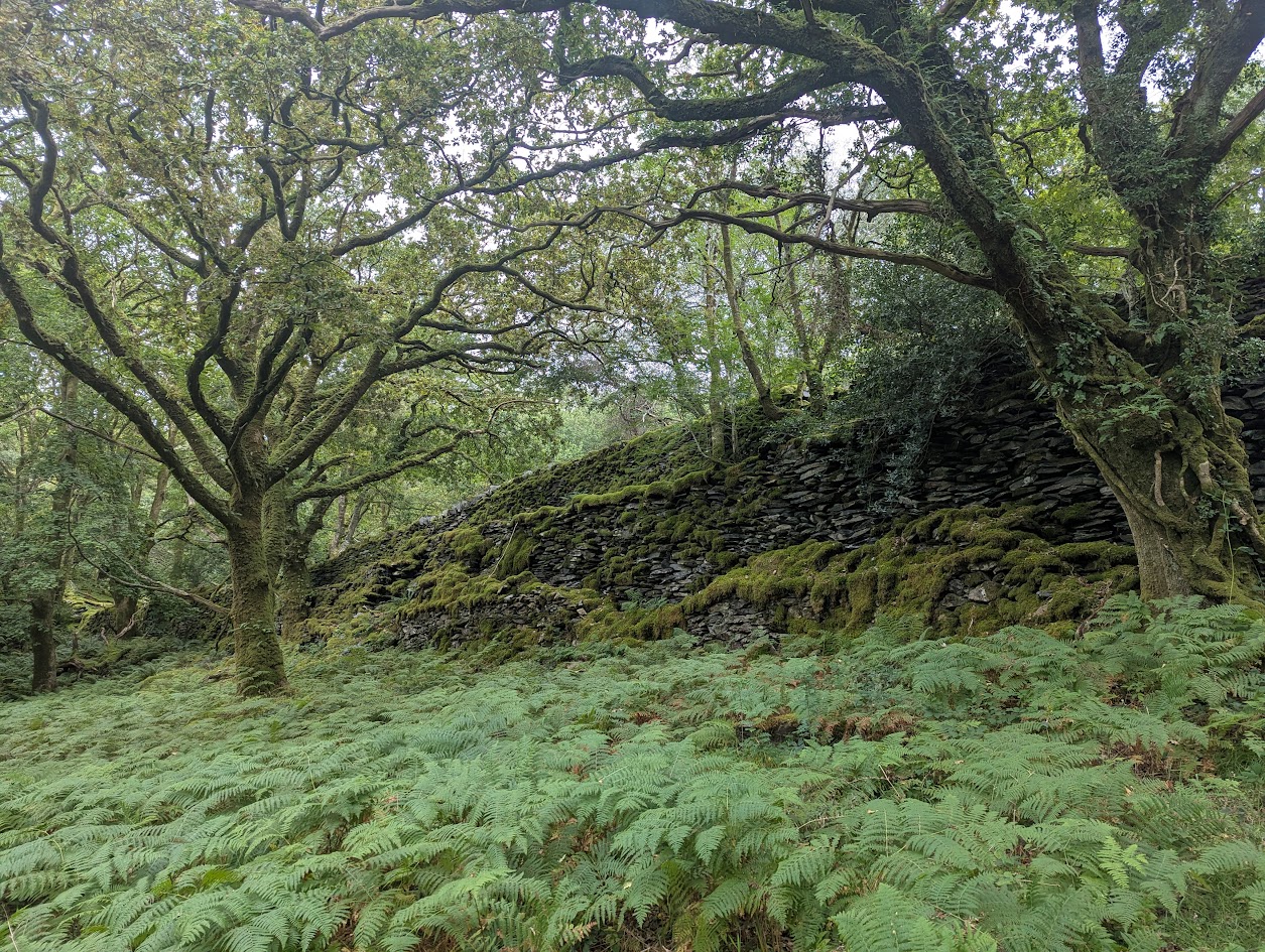 Goat Quarry, submitted by BertyBasset on 16-11-2025.
© Robin Griffiths Goat Quarry