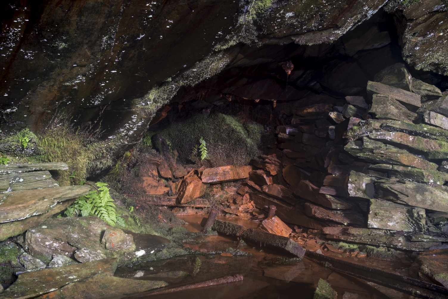 Level B, submitted by ilt on 12-12-2025.
© Iain Taylor Level B