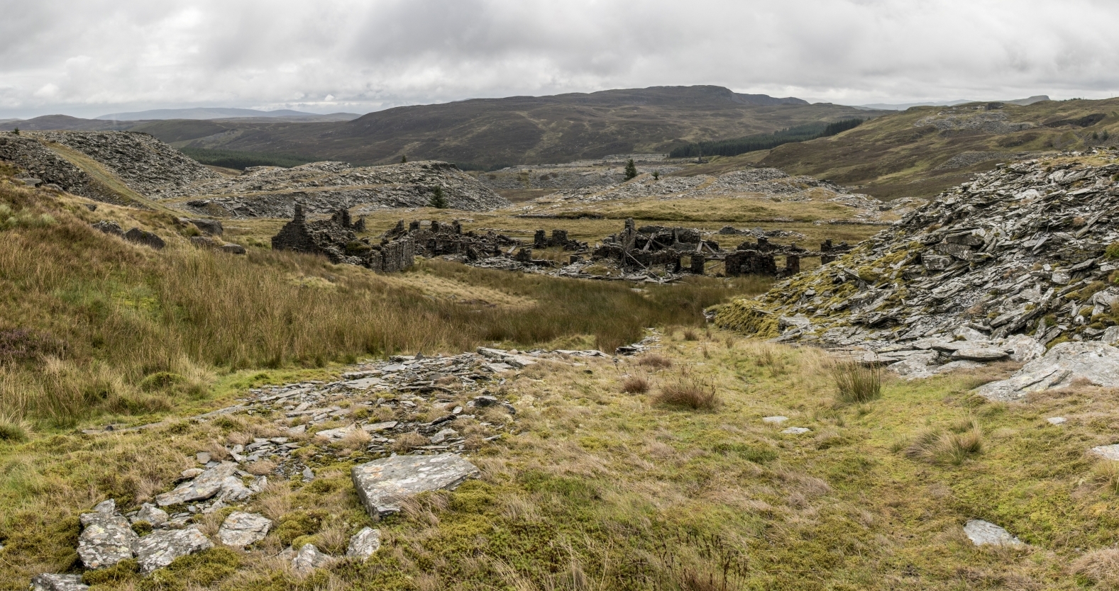 Mills, submitted by ilt on 12-12-2025.
© Iain Taylor Mills