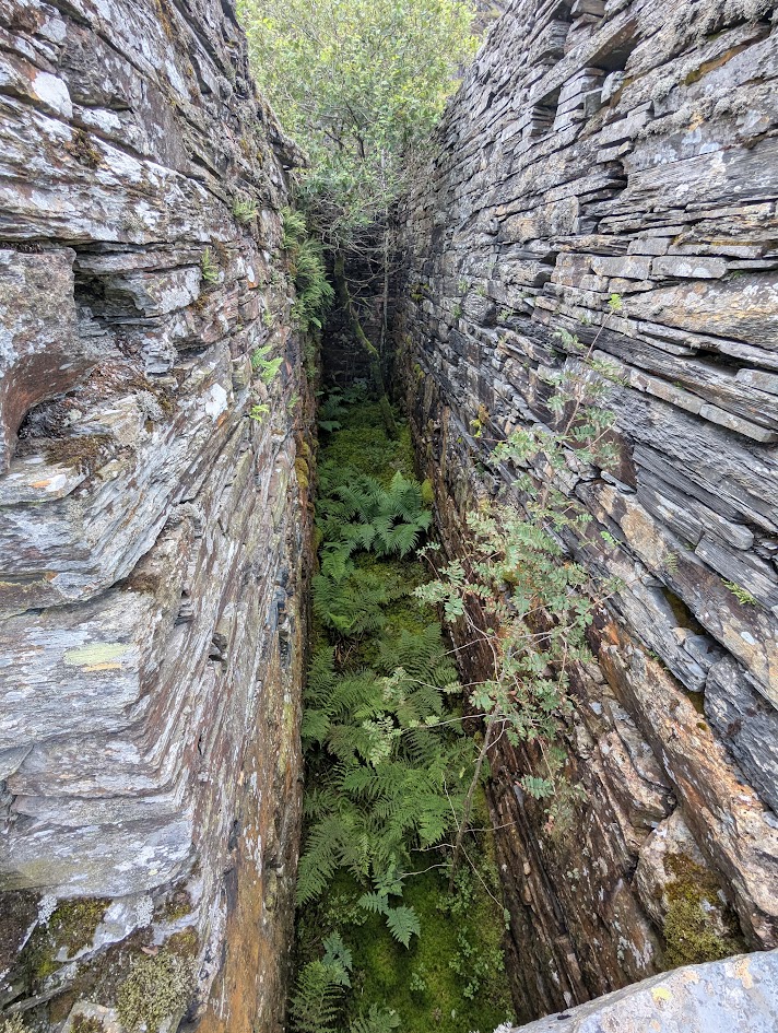 Blaen y Cwm wheelpit, submitted by BertyBasset on 16-11-2025.
© Robin Griffiths Blaen y Cwm wheelpit