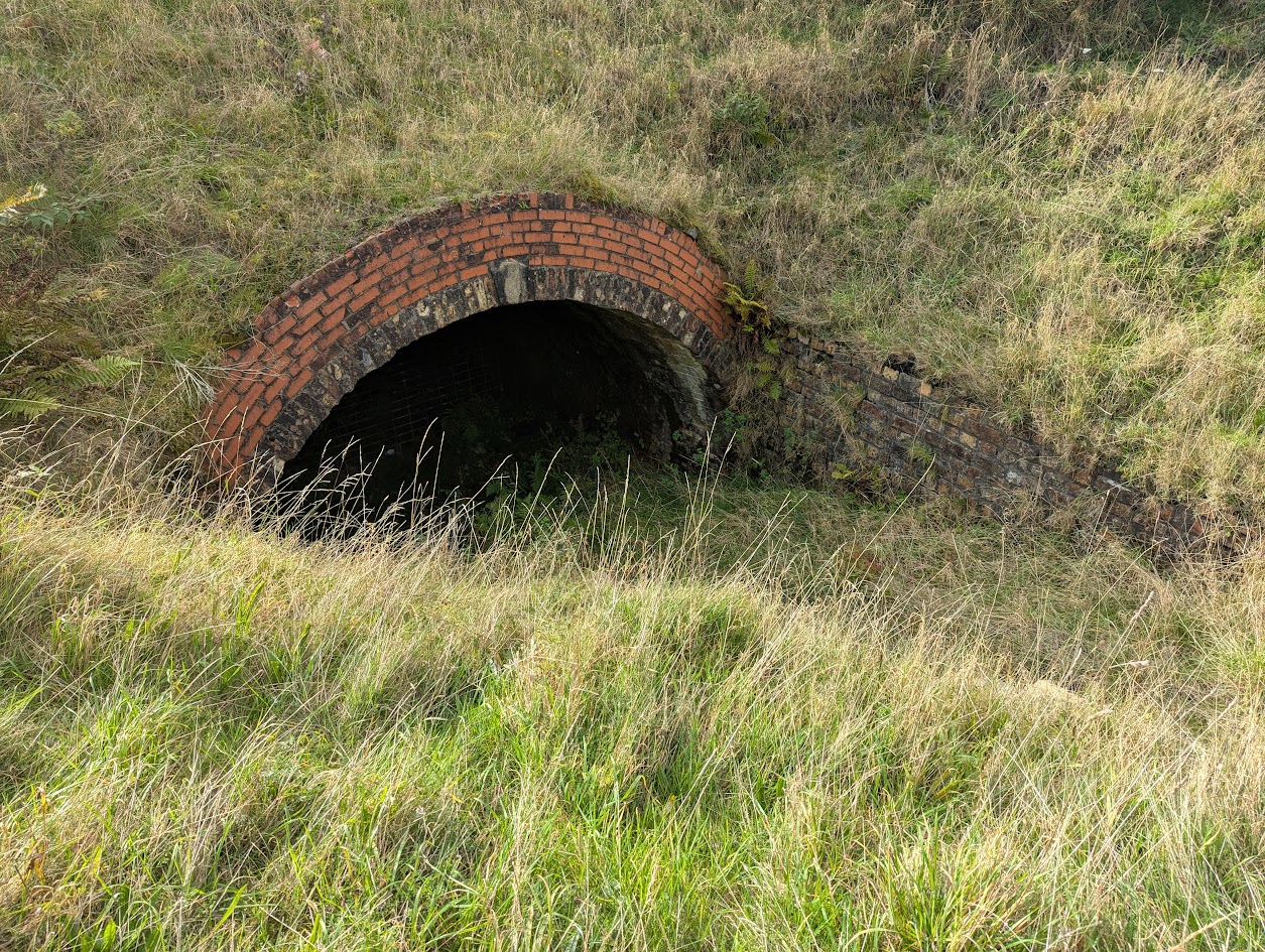 Adit?, submitted by BertyBasset on 16-11-2025.
© Robin Griffiths Adit?