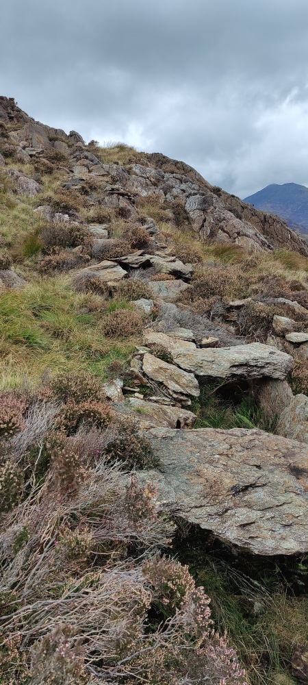 Flue, submitted by ilt on 08-12-2025.
© Iain Taylor Flue