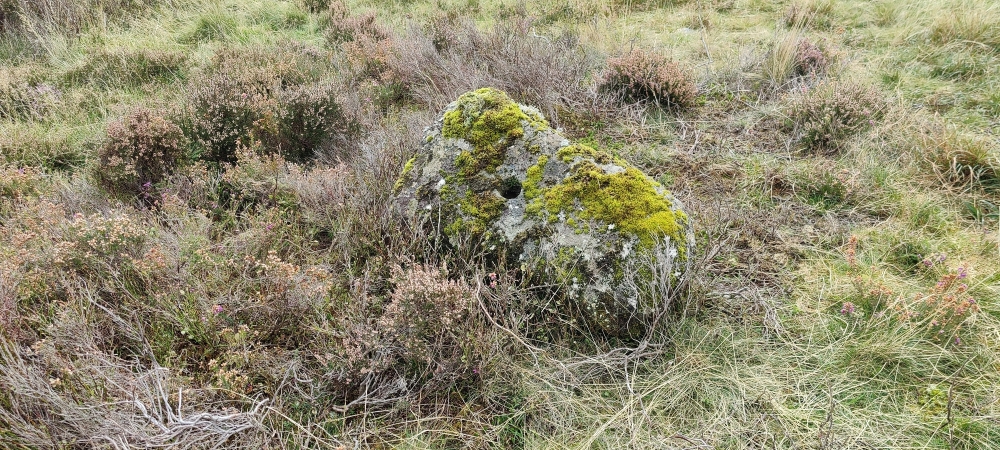 Horse whim axle hole, submitted by ilt on 08-12-2025.
© Iain Taylor Horse whim axle hole