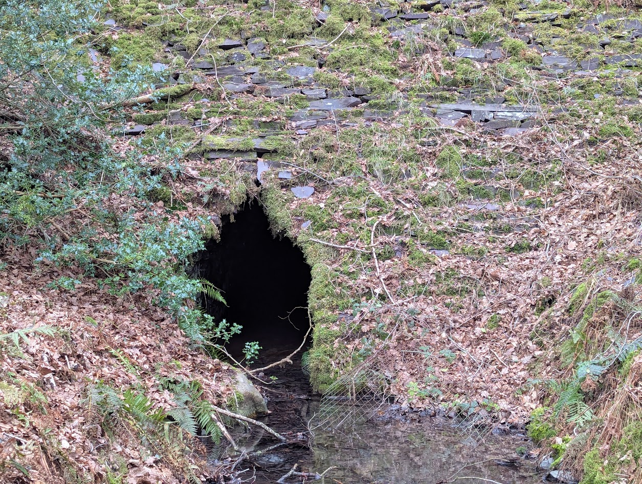 Penyrorsedd - pit drainage adit, submitted by BertyBasset on 08-05-2025.
© Robin Griffiths Penyrorsedd - pit drainage adit