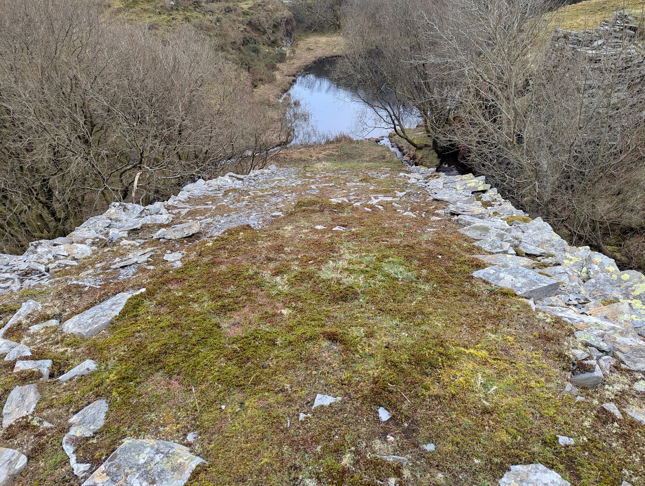 Llyn y Gadair - incline 'up' from pit, submitted by BertyBasset on 08-05-2025.
© Robin Griffiths Llyn y Gadair - incline 'up' from pit