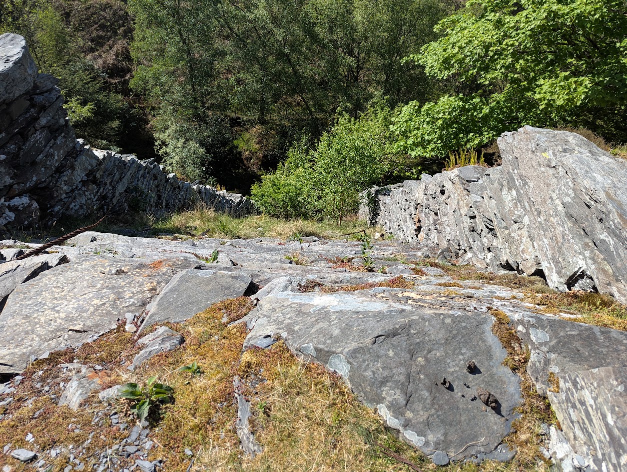 Gaewern - incline, submitted by BertyBasset on 08-05-2025.
© Robin Griffiths Gaewern - incline