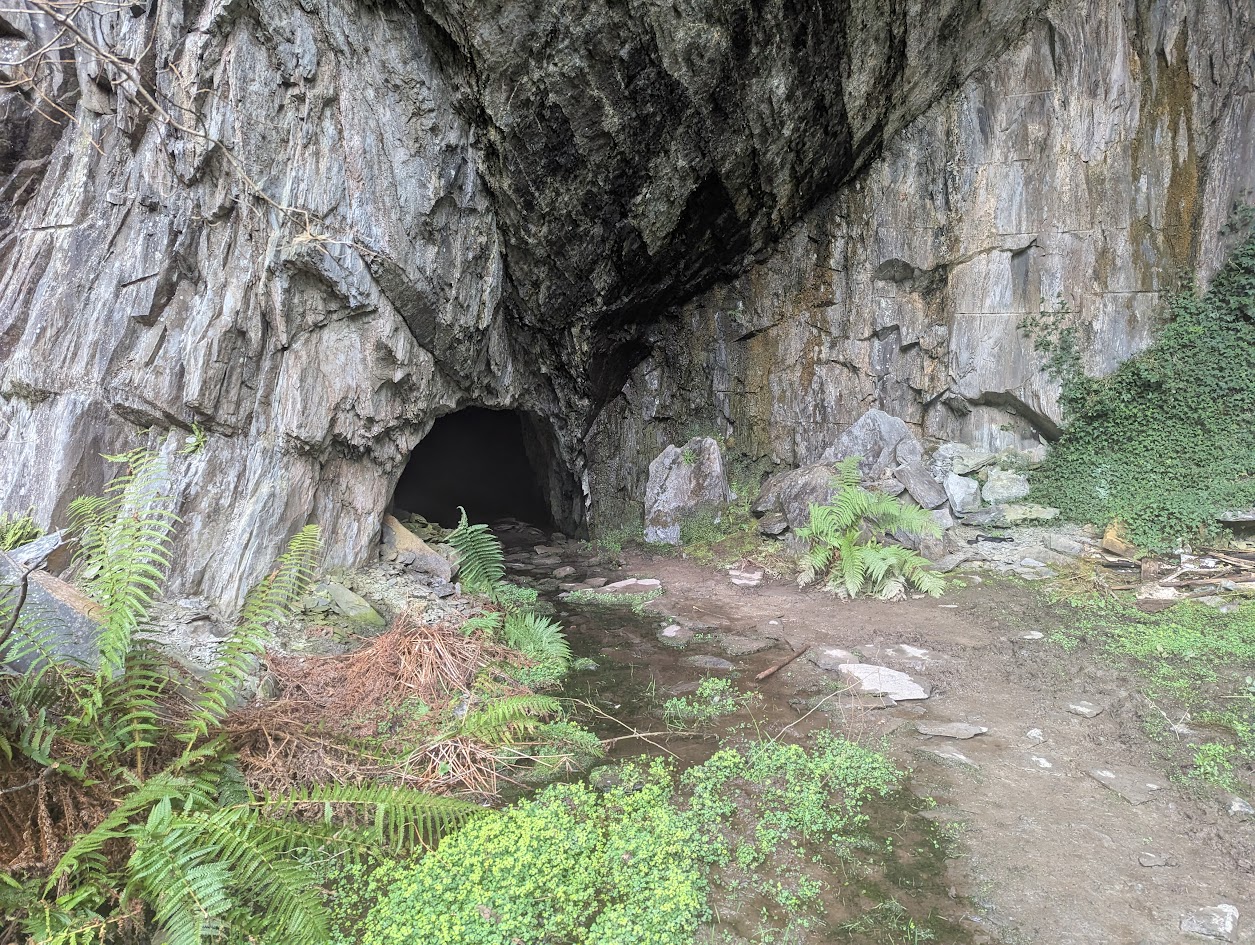 Abercwmeiddaw - tunnel to drainage adit, submitted by BertyBasset on 08-05-2025.
© Robin Griffiths Abercwmeiddaw - tunnel to drainage adit
