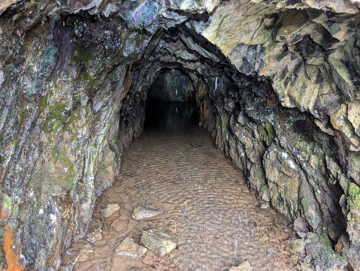 Bryn Cenhadon Mine - adit, submitted by BertyBasset on 08-05-2025.
© Robin Griffiths Bryn Cenhadon Mine - adit